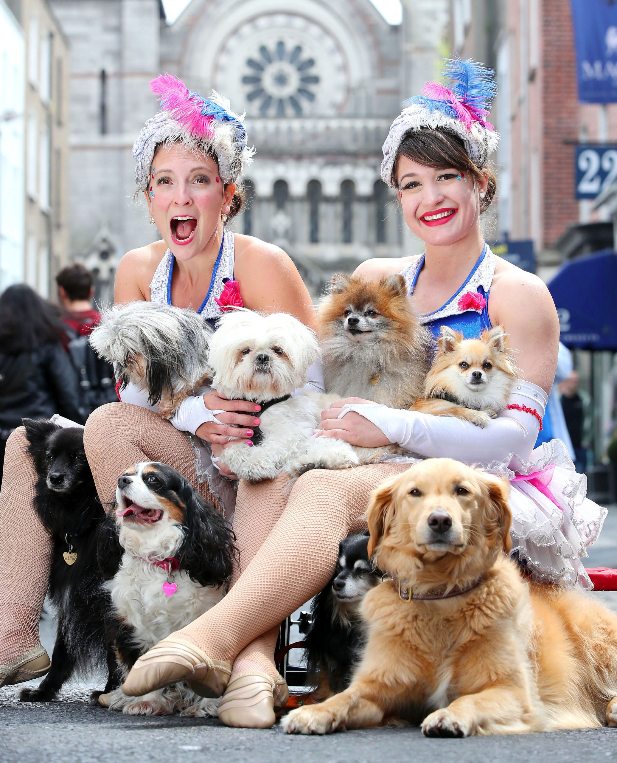 Silver Startlets pictured with festival charity dogs